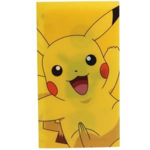 ポケットモンスター キャラクター 不織布マスク携帯ケース Wポケット 抗菌 マスクケース ピカチュウ ポケモン グッズ の最安値 価格比較 送料無料検索 Yahoo ショッピング