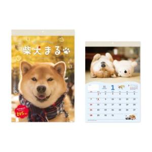 2024Calendar 柴犬まる 壁掛け 小 壁掛けカレンダー2024年 スケジュール いぬ 新日本カレンダー｜cinemacollection