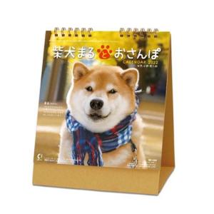 犬川柳 カレンダー 22年 壁掛け スケジュール いぬ ドッグ Apj かわいい 動物 写真 キャラクターのシネマコレクション 通販 Paypayモール
