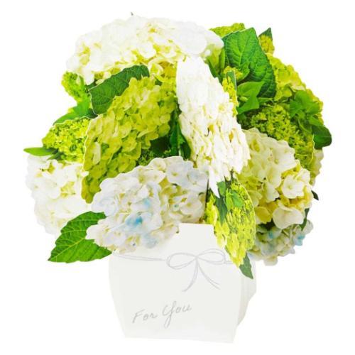 グリーティングカード シヨカ JES 8-5 立体カード 初夏 花瓶に白いアジサイ サンリオ