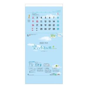 カレンダー 壁掛け 2022年 空いろ3ヶ月eco 上から順タイプ トーダン ビジネス オフィス スケジュール プレゼント 男の子 女 バレンタイン