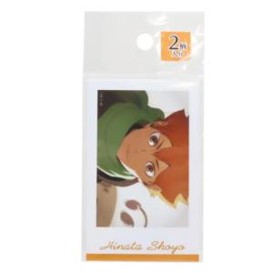 ハイキュー！！ キーリング アクリルキーホルダー 日向 翔陽