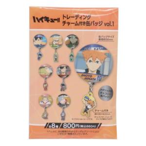 ハイキュー！！ アニメキャラクター ファスナーマスコット