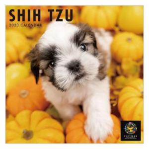 シーズー 2023 Calendar 壁掛けカレンダー2023年 いぬ トライエックス