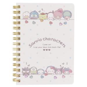 サンスター文具 ディズニー リロ&スティッチ Wリングノート B6 ブルー