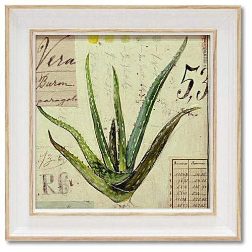 ミニ ゲル アート フレーム アンジェラ・スターリング アロエベラ 雑貨 アートポスター 額付 カフ...
