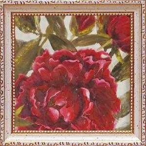 アルバートクーツィール 額付き フラワーアート X RAY キャンバス