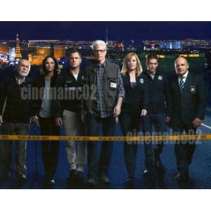 海外ドラマ『CSI:科学捜査班』D.B.ラッセルたちメンバー7人の写真/テッド・ダンソン｜cinemainc2019