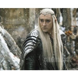 セール！リー・ペイス直筆サイン入り『ホビット』ブロマイド写真