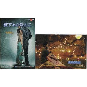 どうぶつの森』入場者特典シール＋ポストカード3種セット : シネマ