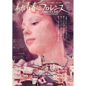 ハッピー・フライト』映画チラシ(変型・飛行機）・B5/グウィネス