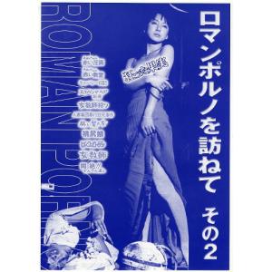 ハッピー・フライト』映画チラシ(変型・飛行機）・B5/グウィネス