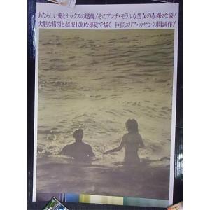 セール！ユアン・マクレガー直筆サイン入りブロマイド写真/海外