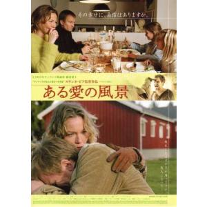 ハッピー・フライト』日本劇場ポスター・B2/グウィネス・パルトロウ