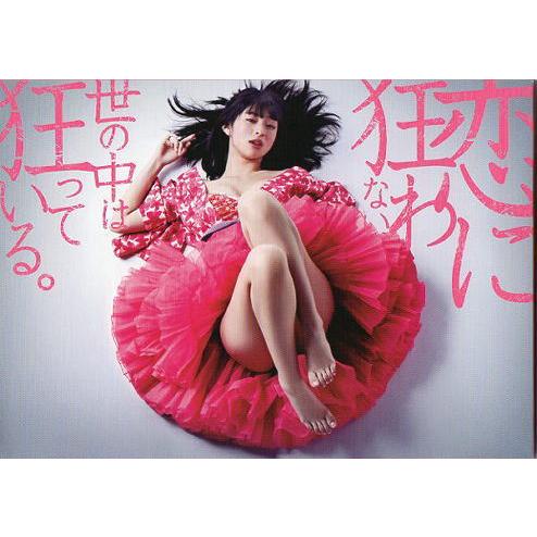 『桜姫』映画パンフレット・小型/日南響子、青木崇高、でんでん、麻美ゆま