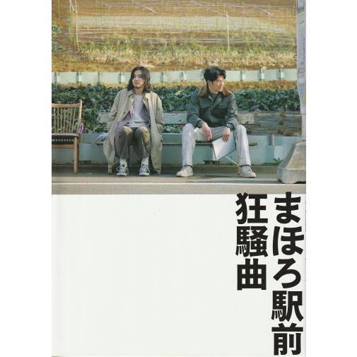 『まほろ駅前狂騒曲』映画パンフレット・A４/瑛太、松田龍平