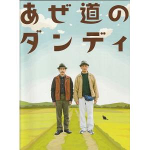 アイデン＆ティティ』映画パンフレット・A4/峯田和伸、麻生久美子