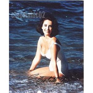 セール！ドルフ・ラングレン直筆サイン入り『ロッキー4』ブロマイド