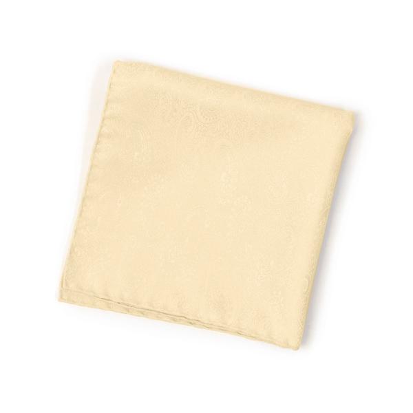 STEFANO RICCI【ステファノリッチ】O511 010 チーフ シルク ペイズリー ベージュ