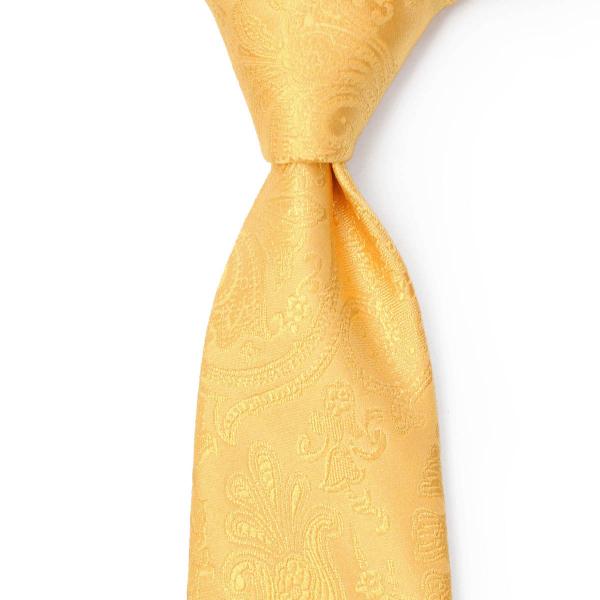 STEFANO RICCI【ステファノリッチ】48114 006 ネクタイ シルク ペイズリー イエ...