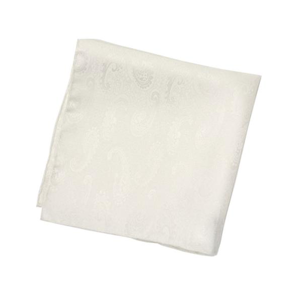 STEFANO RICCI【ステファノリッチ】O511 007 チーフ シルク ペイズリー ホワイト