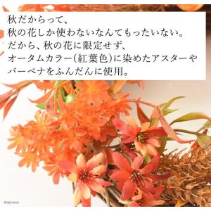 リース 秋 花 玄関 ドア おしゃれ インテリ...の詳細画像2