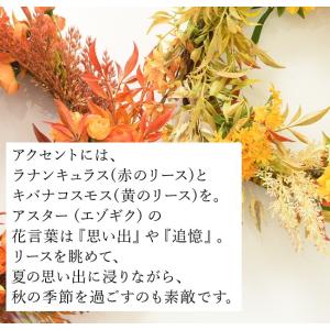 リース 秋 花 玄関 ドア おしゃれ インテリ...の詳細画像4