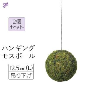 ハンギング モス 苔 吊り下げ 観葉植物 2個 ...の商品画像