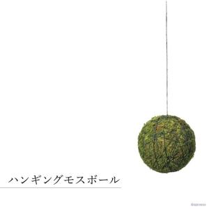 ハンギング モス 苔 吊り下げ 観葉植物 2個...の詳細画像1