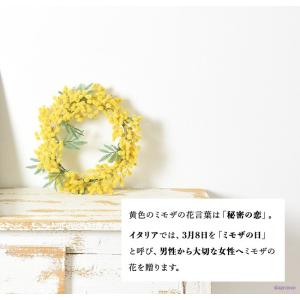 リース ミモザ 春 ミモザのリース 玄関 新居...の詳細画像3