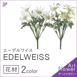 エーデルワイス 花の商品一覧 通販 Yahoo ショッピング