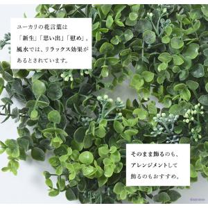 リース 玄関 ドア ユーカリ フェイク グリー...の詳細画像3