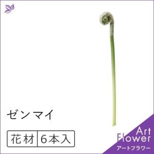 山菜 ゼンマイ 花 ガーデニング の商品一覧 通販 Yahoo ショッピング