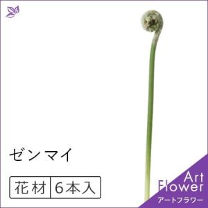山菜 ゼンマイ 花 ガーデニング の商品一覧 通販 Yahoo ショッピング