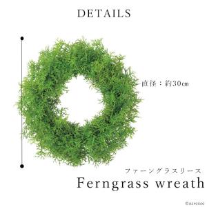 リース 玄関 ドア シダ ー リーフ グリーン...の詳細画像2