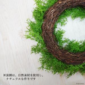リース 玄関 ドア シダ ー リーフ グリーン...の詳細画像3