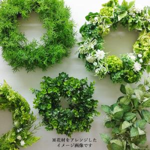 リース 玄関 ドア シダ ー リーフ グリーン...の詳細画像4