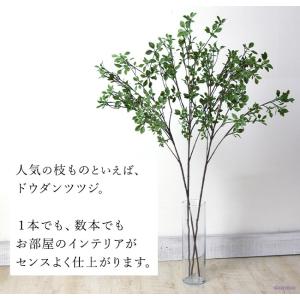 ドウダンツツジ フェイクグリーン おしゃれ イ...の詳細画像2