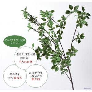 ドウダンツツジ フェイクグリーン おしゃれ イ...の詳細画像3