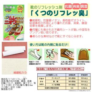 靴の抗菌・消臭・調湿剤 「くつのリフレッ臭」 ...の詳細画像1