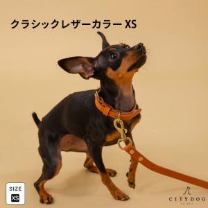 首輪 犬 本革 革 迷子札 中型犬 小型犬 日本製 クラシックレザーカラー リード おしゃれ 伸縮 ハーネス 犬用 カラー プレゼント ｜ citydog シティドッグ｜citydog