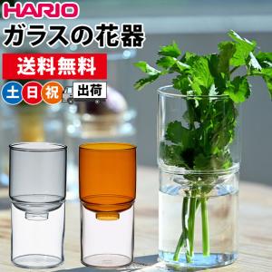 フラワーベース ガラス 水耕栽培 容器 ポット 花瓶 おしゃれ ハリオ ガラスの花器 実用容量200ml クリア HARIO 土日祝日出荷｜ciz-shopping