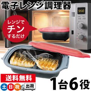 魚焼き器 電子レンジ専用調理器 グリルパン プレート レンジで焼き魚 焼く 炒める 似る 蒸す 炊く 温める 四角 角型 ふた付き 土日祝日出荷