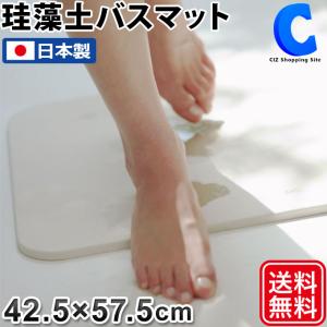 ソイル soil 珪藻土 バスマット ライト 日本製 大判 国産 57.5×42.5cm 軽い