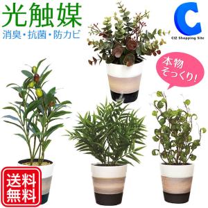 光触媒 観葉植物 フェイクグリーン おしゃれ インテリア