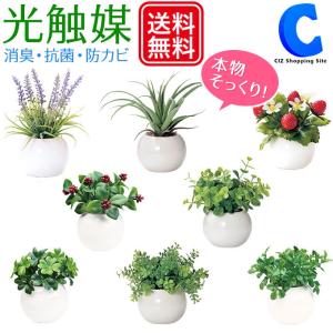 光触媒 観葉植物 卓上 ミニサイズ プチ フェイクグリーン
