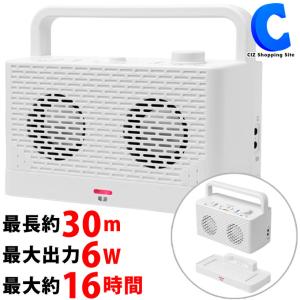 テレビスピーカー ワイヤレス 高齢者 手元スピーカー 耳元 防滴 IPX2 TEES みみちか TSP-M29