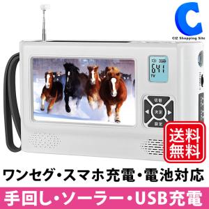 防災テレビ ラジオ付 緊急ブザー LEDライト ワンセグ ポータブルテレビ 4.3インチ ソーラー 手回し USB充電 モバイルバッテリー 災害 VS-AK43Y