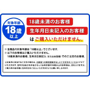 エアガン ハンドガン ライフル セット BB弾...の詳細画像2