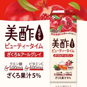 [公式] 美酢 ビューティータイム ざくろ&a...の詳細画像1